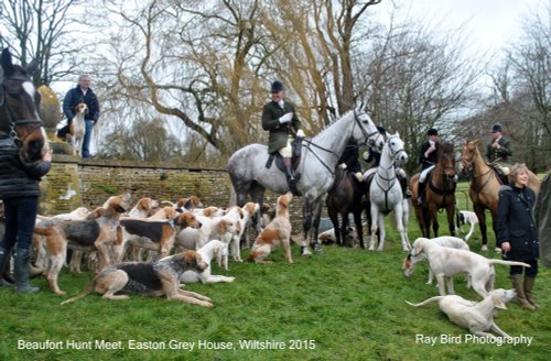 Beaufort Hunt, Easton Grey House Meet, Wiltshire 2015