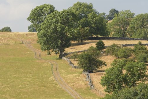 Farm Track near Waterfall, Staffordshire