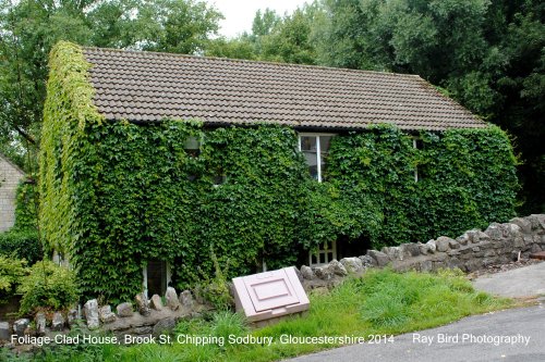 Foliage-clad House, Brook Street, Chipping Sodbury, Gloucestershire 2014