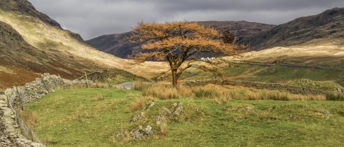 Sun Breaking Through