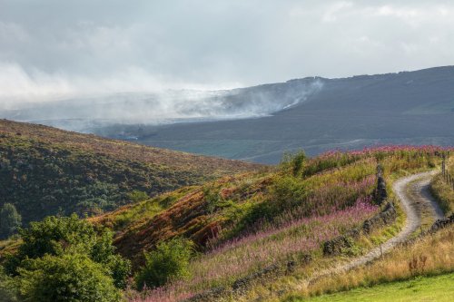 Moorland at Flash, Staffordshire with the Burning Roaches