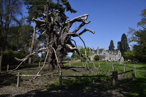 Wakehurst Place Garden