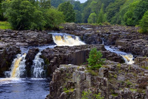 Low Force, Forest-in-Teesdale