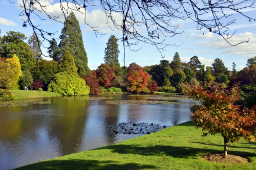 Sheffield Park Garden, Uckfield,