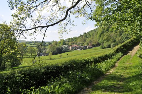 Sleightholmedale, Fadmoor, North Yorkshire