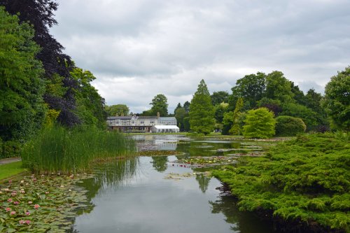 Burnby Hall Garden