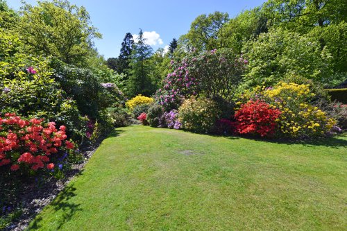 Stody Lodge Garden