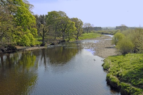 River Ure at Wensly