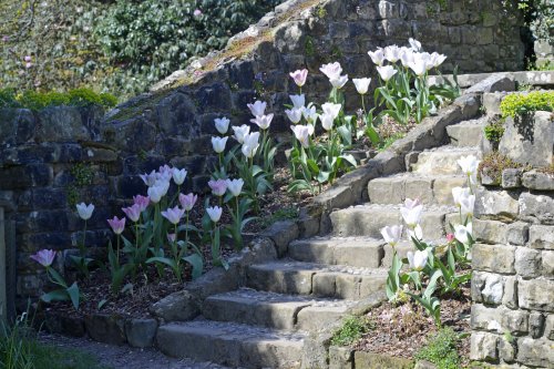 Nymans House and Garden