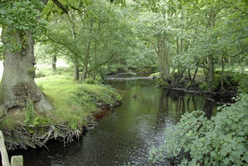 Sleightholmedale, Fadmoor, North Yorkshire