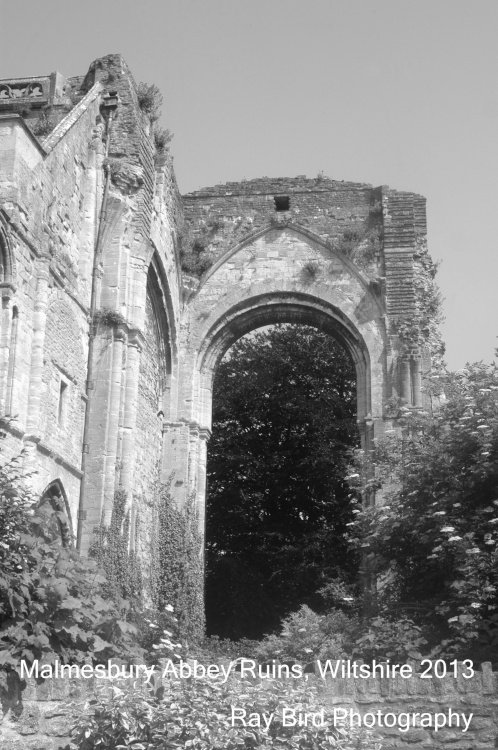 Malmesbury Abbey Ruins, Wiltshire 2013