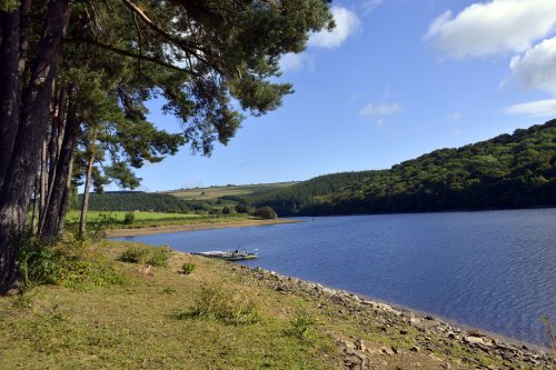 Tunstall Reservoir