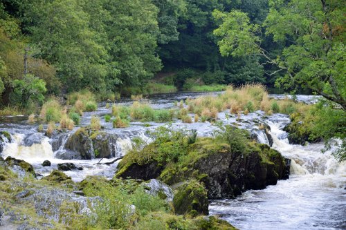 Cenarth Falls