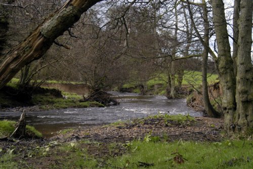 Sleightholmedale, Fadmoor, North Yorkshire