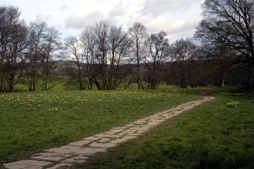 Farndale Daffodil Walk