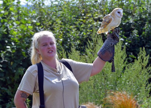 Eagle Heights Wildlife Foundation, Eynsford, Kent