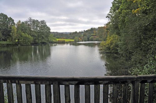Winkworth Arboretum, Surrey