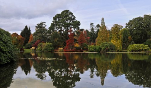 Sheffield Park Garden, Uckfield