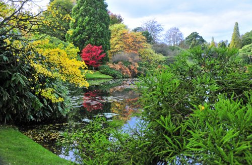 Sheffield Park Garden, Uckfield