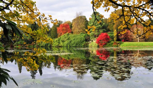 Sheffield Park Garden, Uckfield