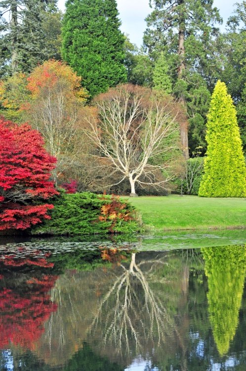 Sheffield Park Garden, Uckfield