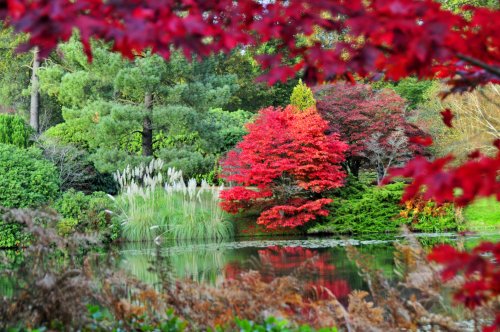 Sheffield Park Garden, Uckfield
