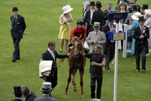 Royal Ascot winner