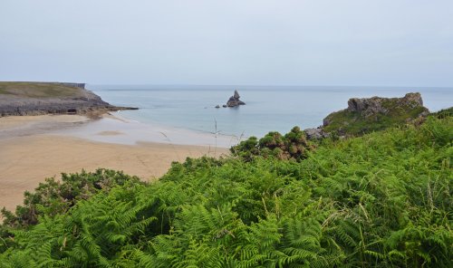 Broad Haven Beach