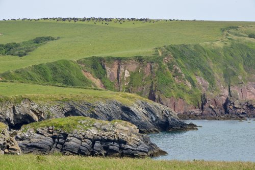 Broad Haven Coast, Bosherton