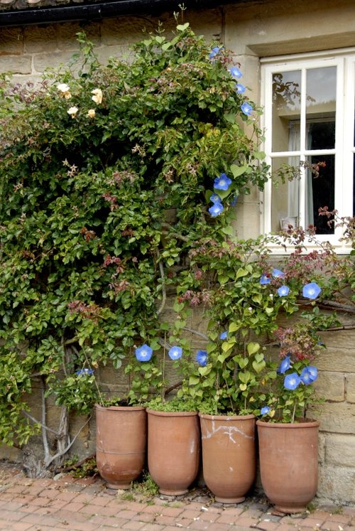 Sleightholmedale Lodge Garden, Fadmoor, North Yorkshire Garden