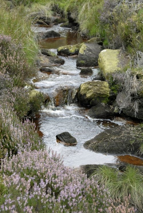 North Yorkshire Moors