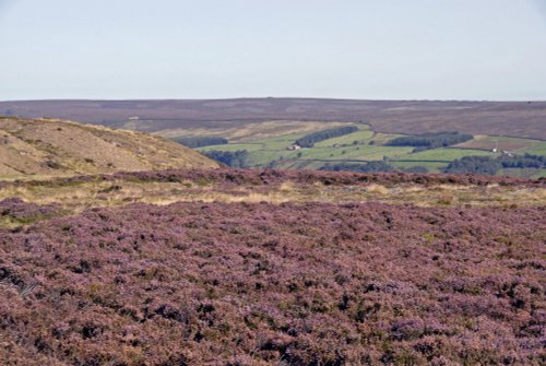 North York Moors