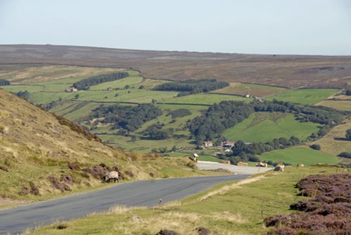 North Yorkshire Moors