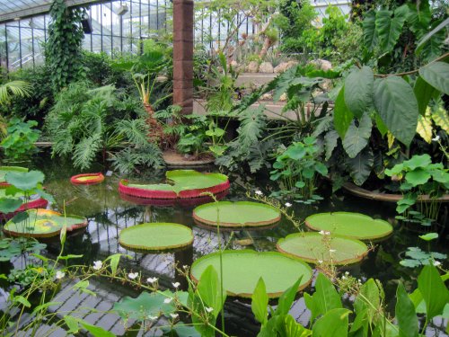 Waterlily House, Kew Gardens