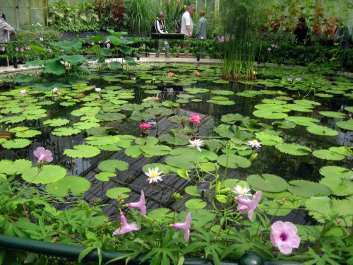 Waterlily House, Kew Gardens