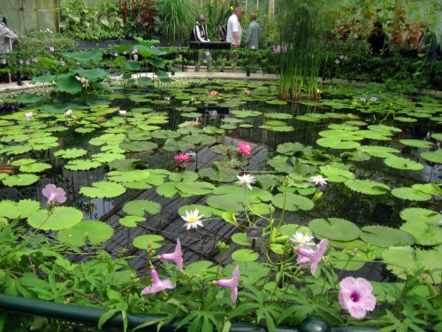 Waterlily House, Kew Gardens