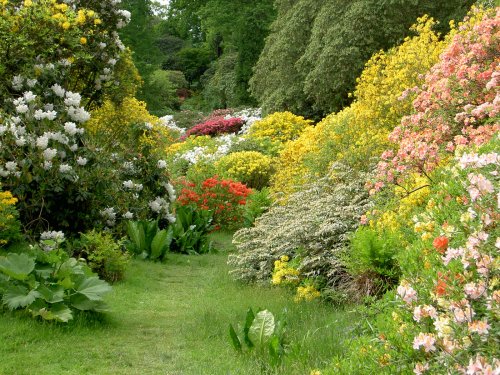Leonardslee Garden, West Sussex