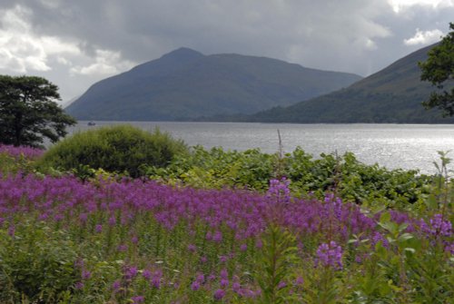 Loch Linnhe