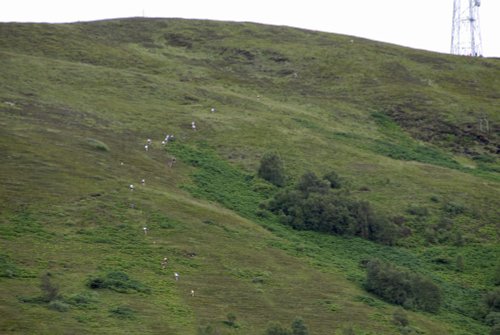 The Lochaber Highland Games at Fort William