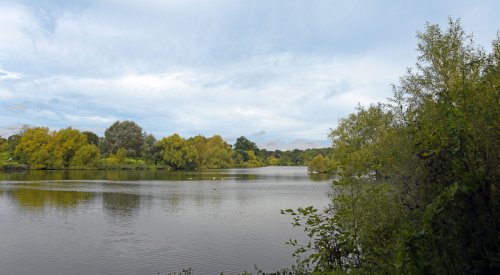 Mote Park, Maidstone