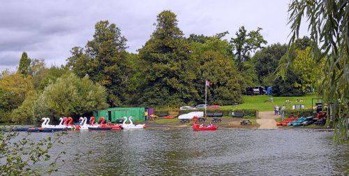 Mote Park, Maidstone