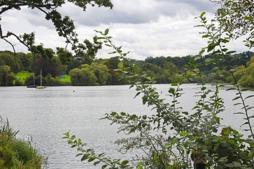 Mote Park, Maidstone