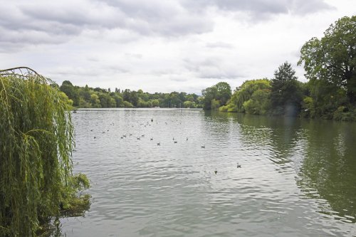 Mote Park, Maidstone