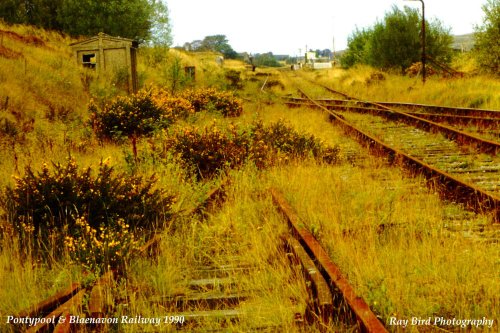 Pontypool & Blaenavon Railway, Torfaen 1990