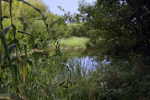 The Shropshire Hills Discovery Centre