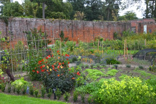 Berrington House walled garden