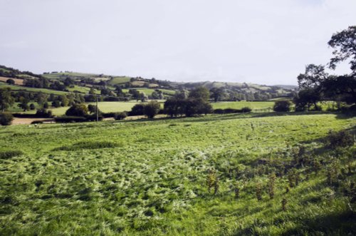 Shropshire Hills near Onibury