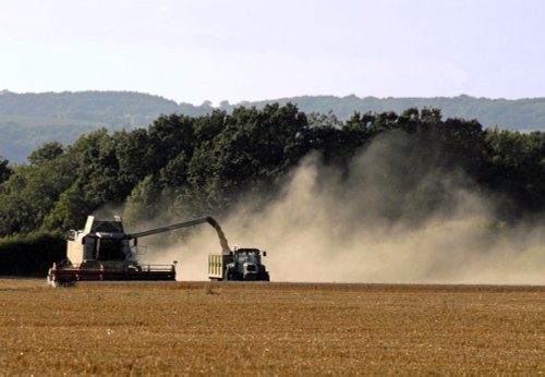 Harvest time near Tenterden in Kent