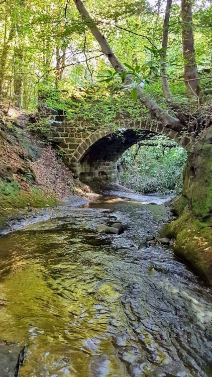 Bridge on deans brook