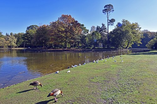 Claremont Landscape Garden
